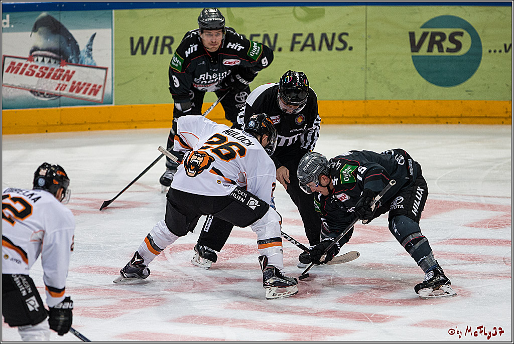 DEL, Koelner Haie - Grizzlys Wolfsburg, 21.02.2017